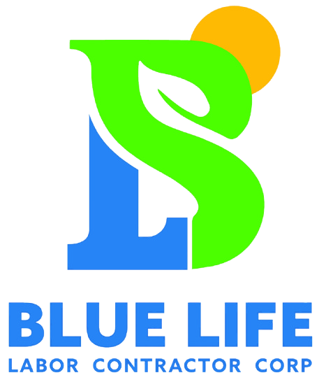 Small Blue Life Logo