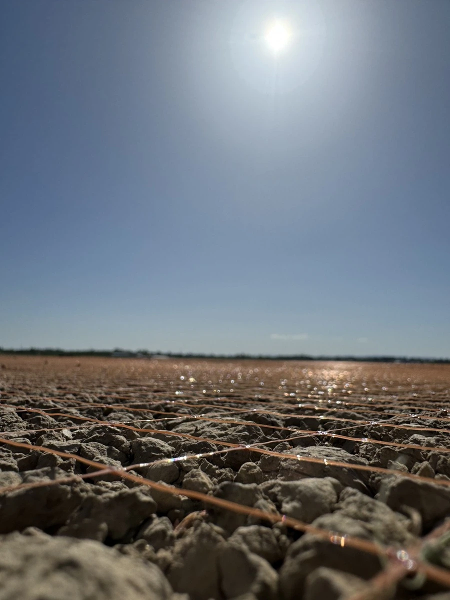 Irrigation system in a field